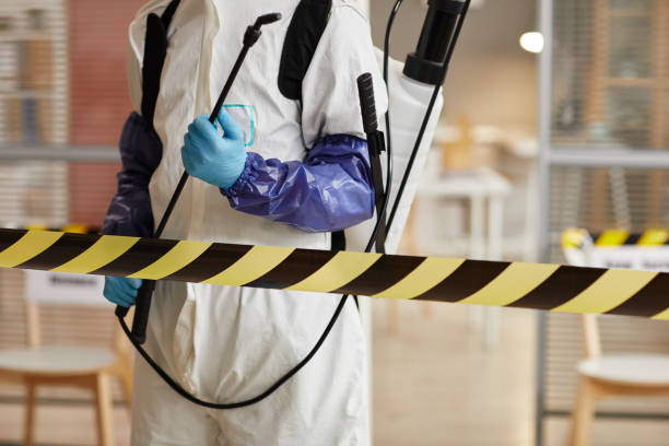 Professional Sewage Cleanup technician working in Crows Landing, CA